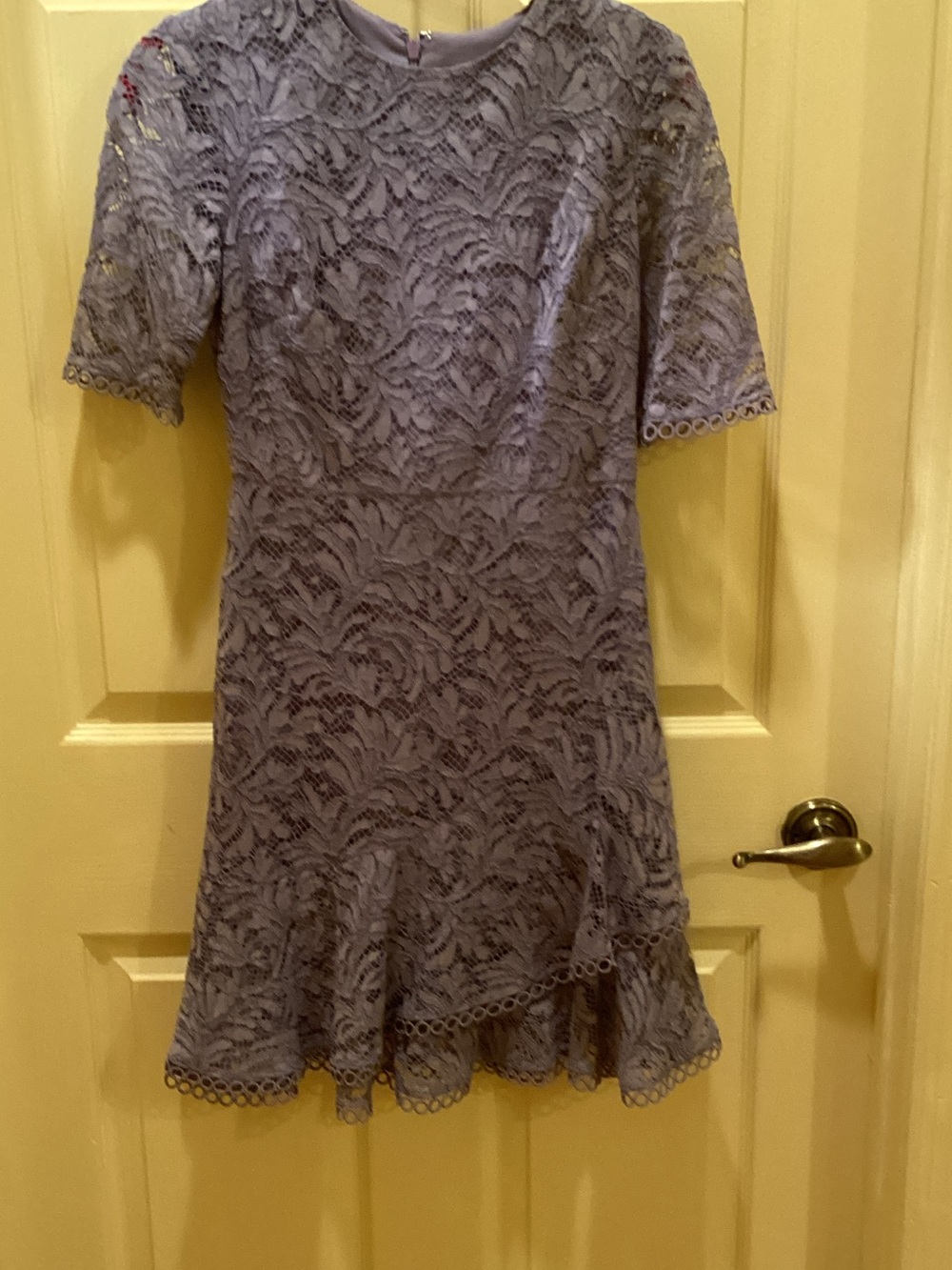 Vince Camuto Dusty Lavender Lace Fit-and-Flare Mini Dress